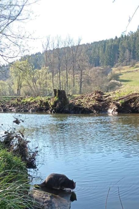 Ferienglueck Im Schwarzwald Apartment Zimmern ob Rottweil ภายนอก รูปภาพ
